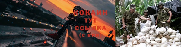 стаф Абинск