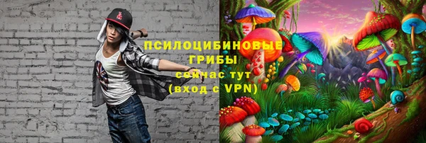 стаф Абинск