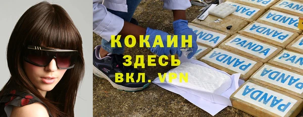 стаф Абинск