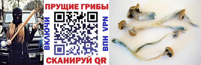 Псилоцибиновые грибы ЛСД  Алатырь 