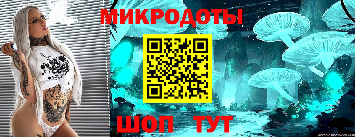 Галлюциногенные грибы Magic Shrooms  Вход с VPN  Алатырь 