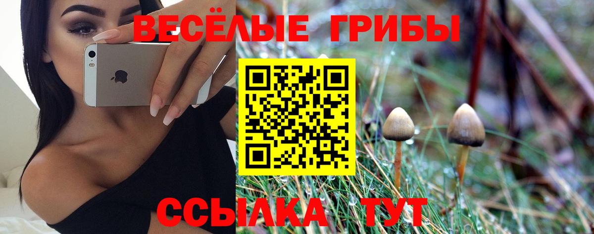 Псилоцибиновые грибы MAGIC MUSHROOMS Алатырь